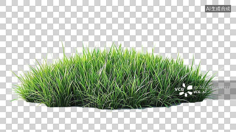 【AI数字艺术】清新草地绿意盎然  生机勃勃的绿色草坪图片素材
