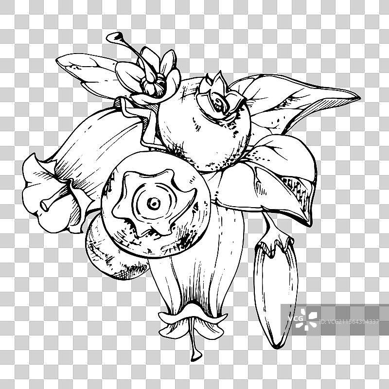 蓝莓和黑莓与白色铃兰花相伴图片素材