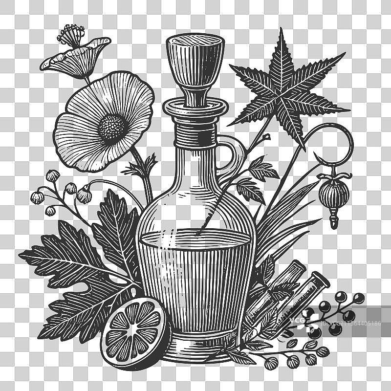 复古药剂瓶与草本植物图片素材