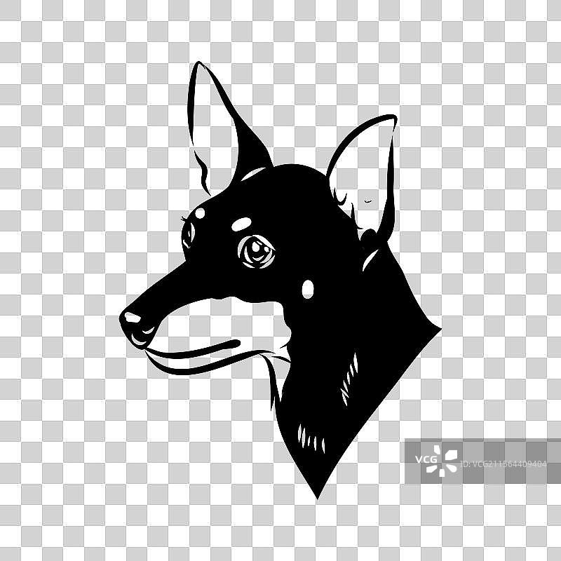 英式玩具猎犬素描 英式玩具猎犬图片素材