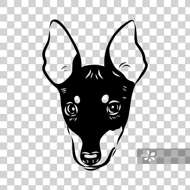 英式玩具猎犬素描 英式玩具猎犬图片素材