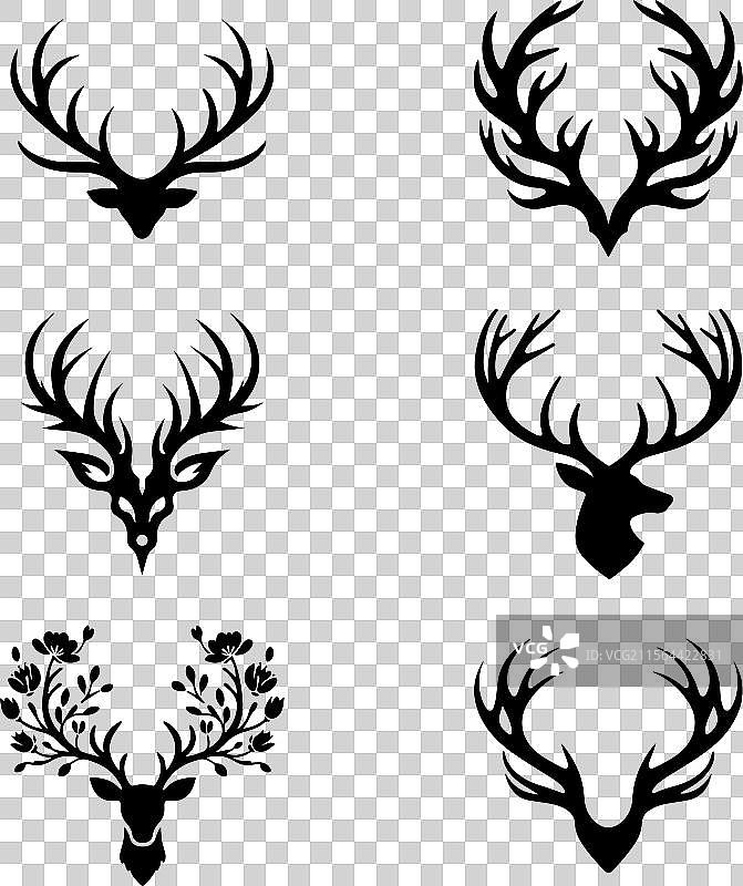 鹿角图像图片素材