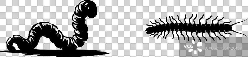 虫子轮廓图标设计图片素材