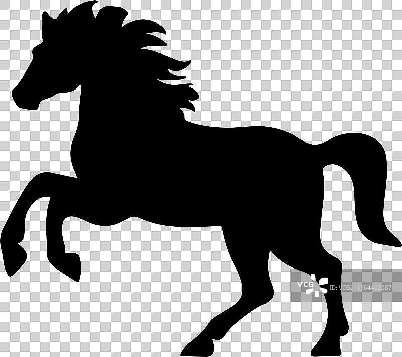 站立的阿拉伯马轮廓 黑色马图标图片素材