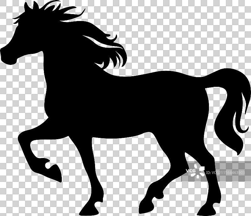 站立的阿拉伯马轮廓 黑色马图标图片素材
