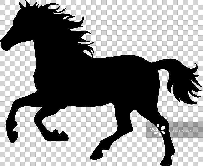 站立的阿拉伯马轮廓 黑色马图标图片素材