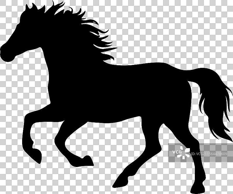 站立的阿拉伯马轮廓 黑色马图标图片素材