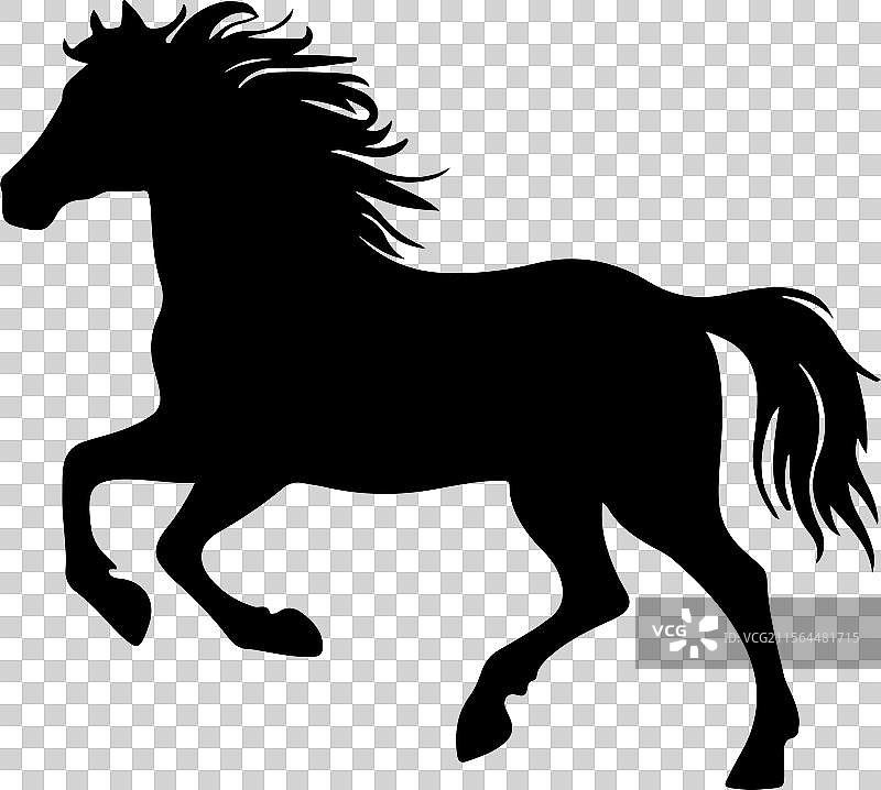 阿拉伯马轮廓站立黑色图标图片素材