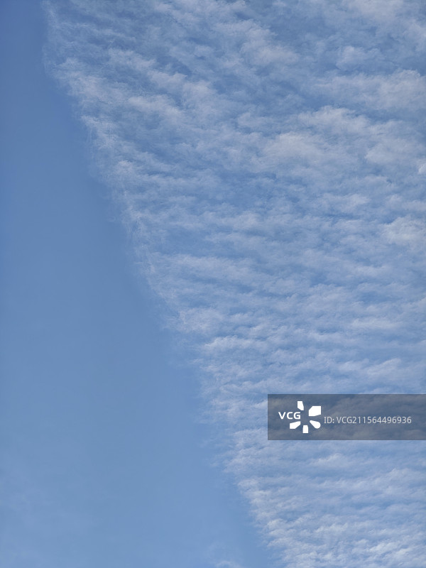 仰望蓝天白云高积云图片素材