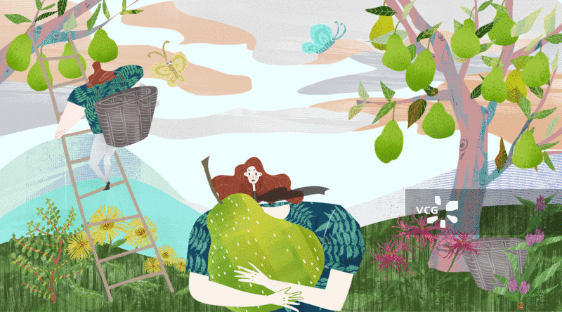 梨树梨园插画GIF动图图片素材