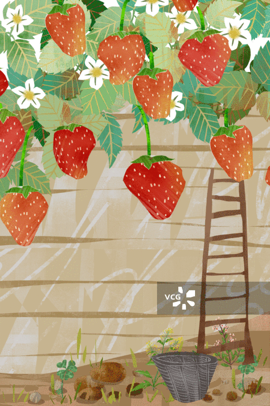 草莓草莓园插画背景GIF动图图片素材