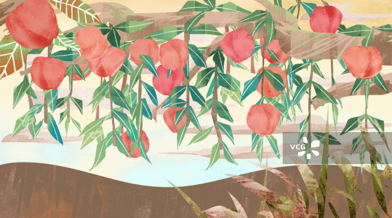 桃子桃树插画背景GIF动图图片素材