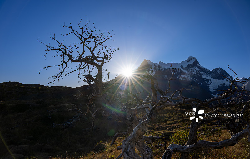 智利百内国家公园️图片素材
