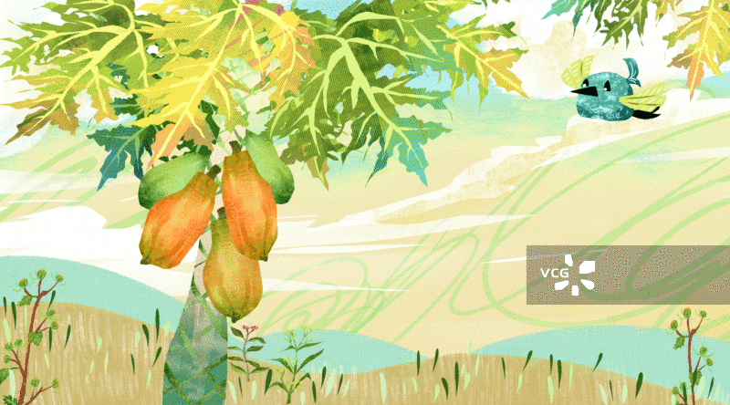 木瓜树插画背景GIF动图图片素材