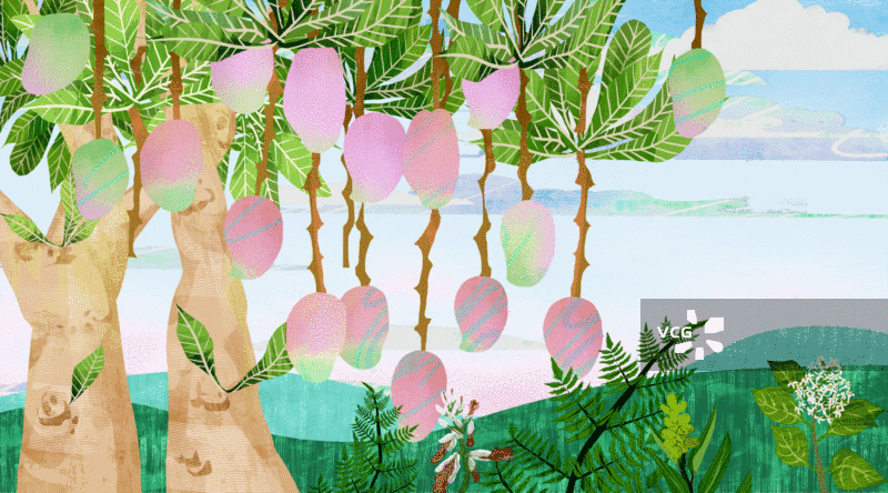 芒果树采摘插画背景GIF动图图片素材