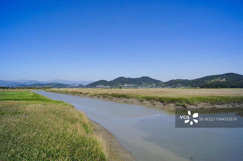 韩国顺天湿地公园风景图片素材