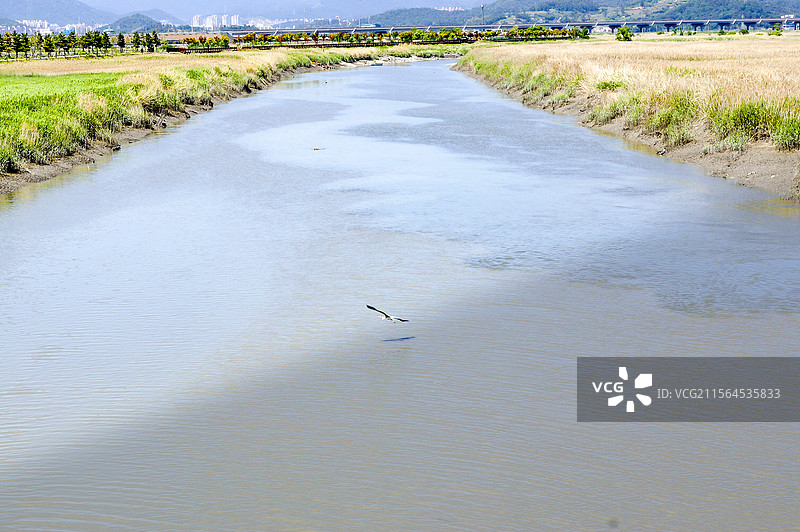 韩国顺天湿地公园风景图片素材
