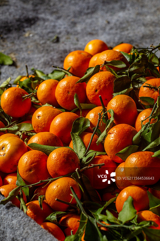四川省绵阳市户外售卖的砂糖橘，橘子，柑子，橙子图片素材