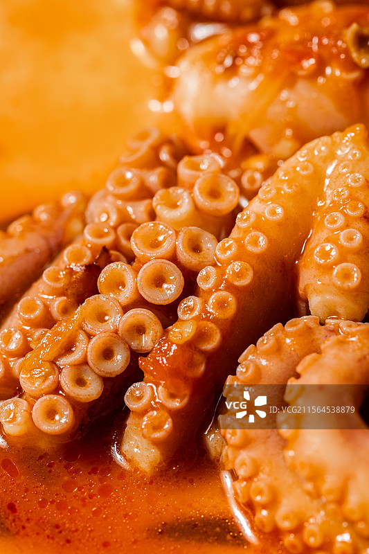 番茄锅底番茄海鲜锅番茄汤味增汤日式火锅涮牛肉寿喜锅生蚝鲍鱼基围虾扇贝竹蛏章鱼八爪鱼酸汤火锅酸汤锅底图片素材