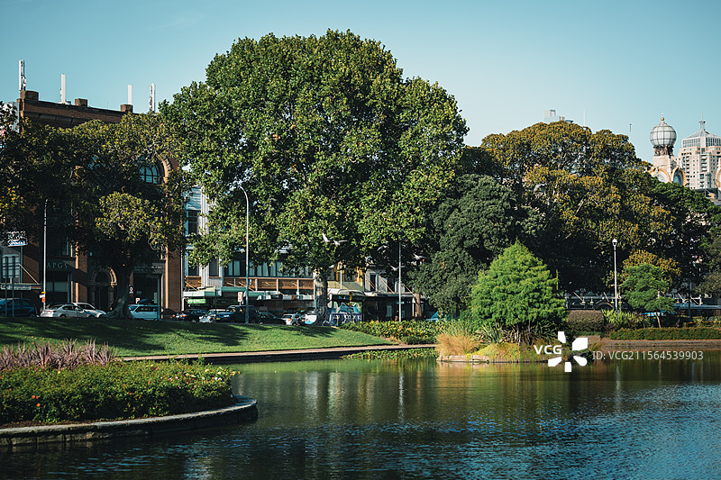 蓝天下的湖畔盛景：高楼、绿树林与城市的完美融合图片素材