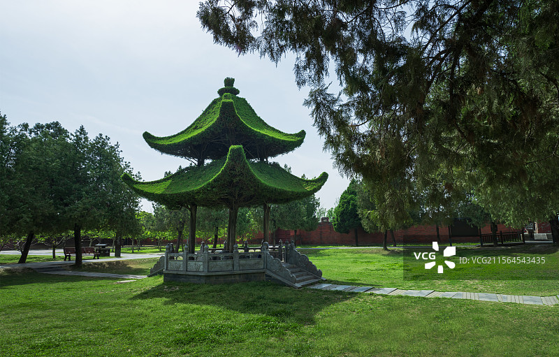 太昊陵庙中的松树造型的凉亭图片素材