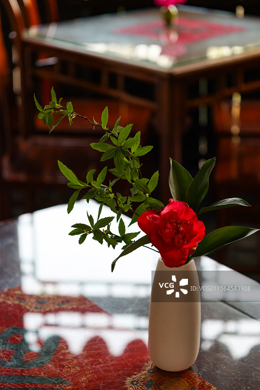 苏州园林春天里的艺圃风光延光阁博雅堂水榭世纶堂爱莲窝东莱草堂组图图片素材