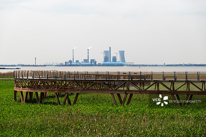 崇明明珠湖西沙湿地图片素材
