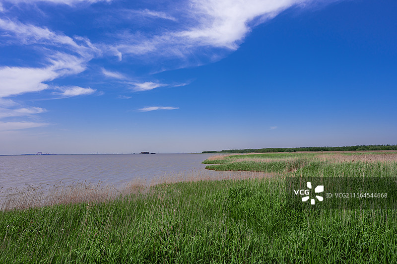 崇明明珠湖西沙湿地图片素材