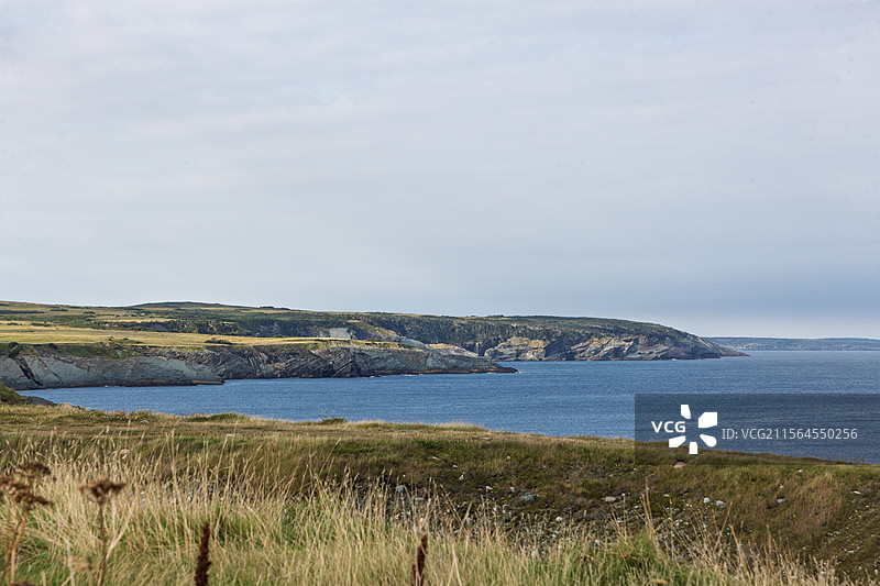 纽芬兰南岸，旅游名胜开普雷斯（Cape Race）海湾，美丽的自然风光图片素材