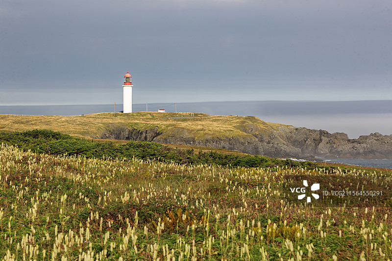 云雾中的纽芬兰南岸，古老的开普雷斯（Cape Race）灯塔与海岸线，这里最早收到泰坦尼克号求救电报图片素材