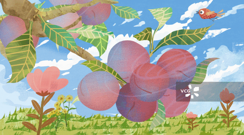 李子插画背景GIF动图图片素材