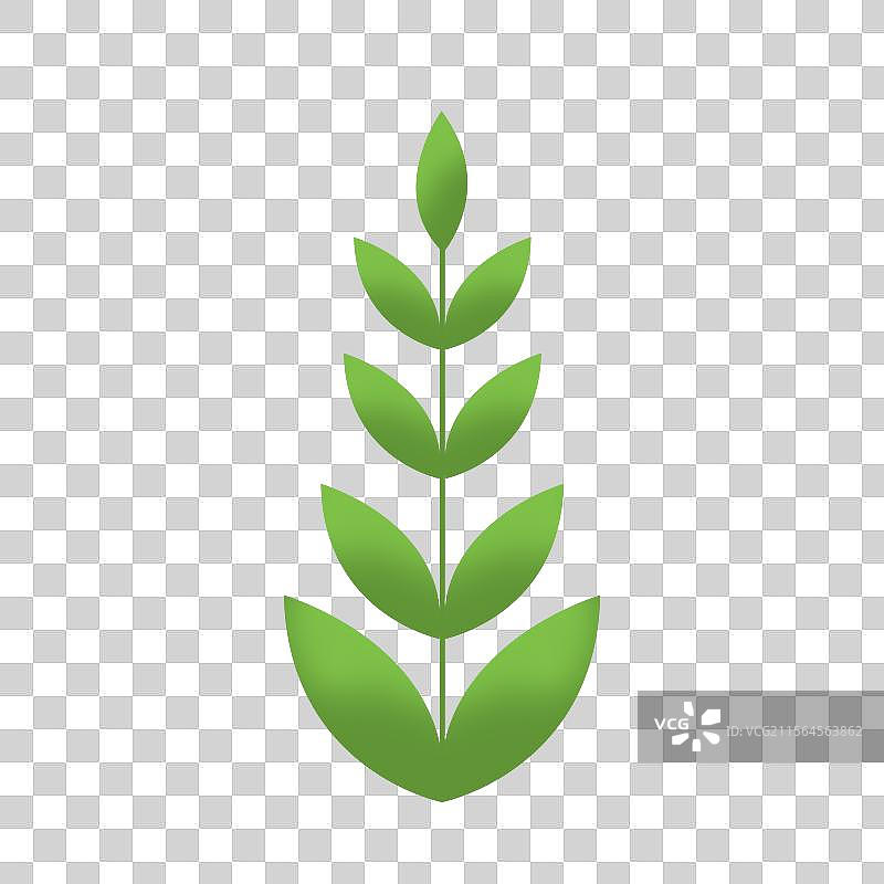 植物绿叶图片素材