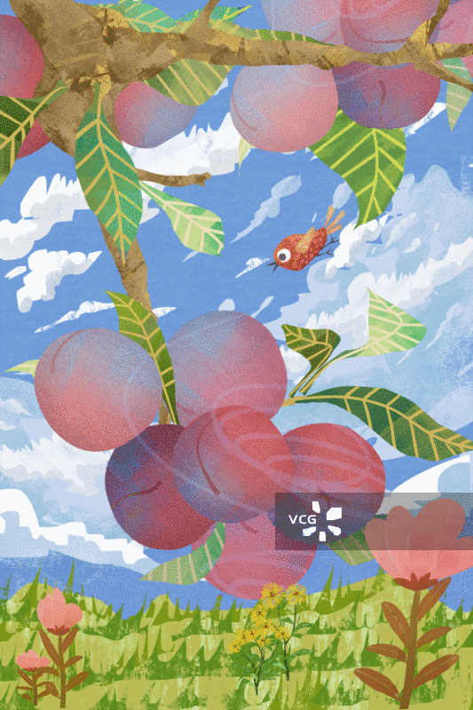李子插画背景GIF动图图片素材