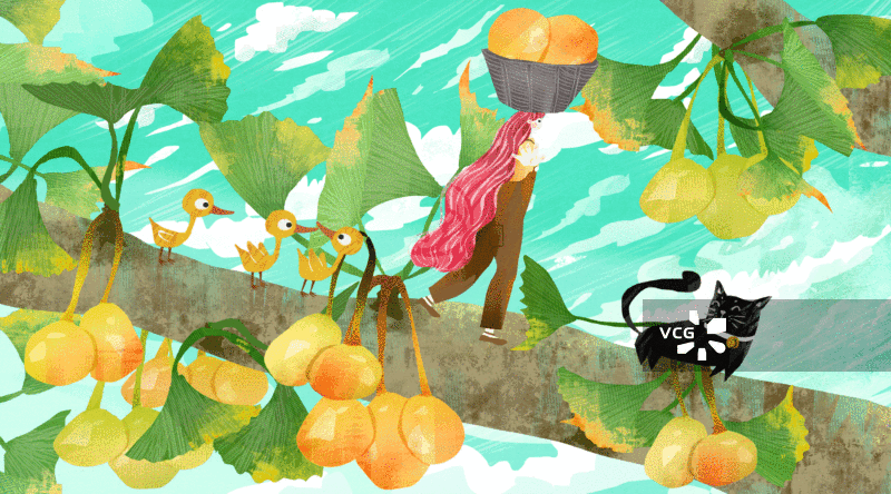 采摘银杏果插画GIF动图图片素材