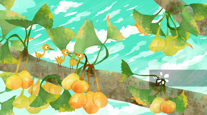 银杏果插画背景GIF动图图片素材