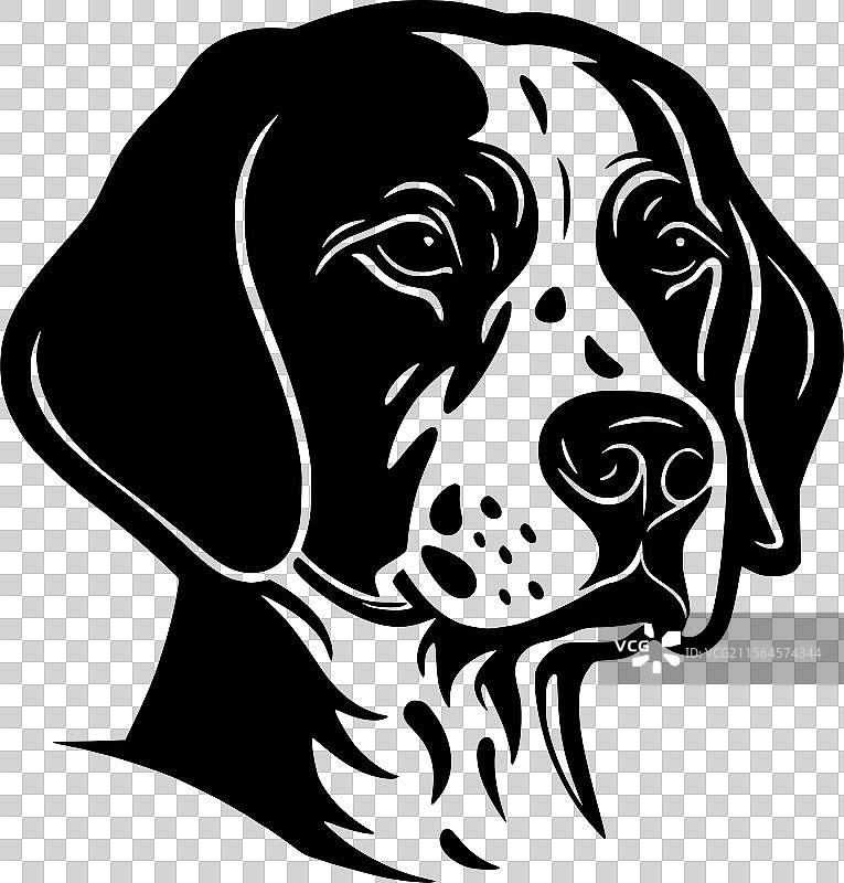 达尔马提亚犬 - 黑白相间图片素材