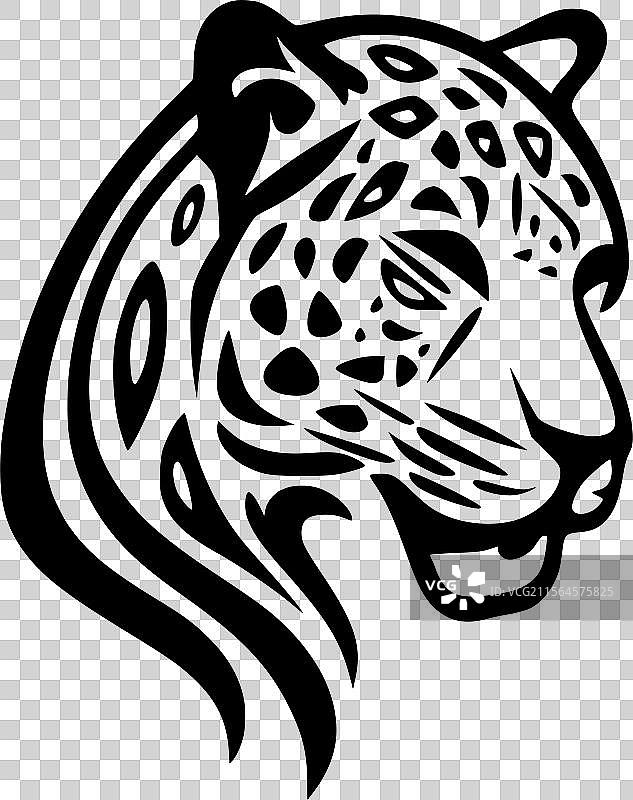 黑白豹子图片素材