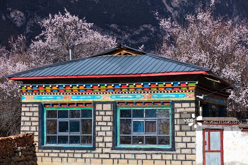 西藏那曲市嘉黎县尼屋乡的桃花和村子图片素材
