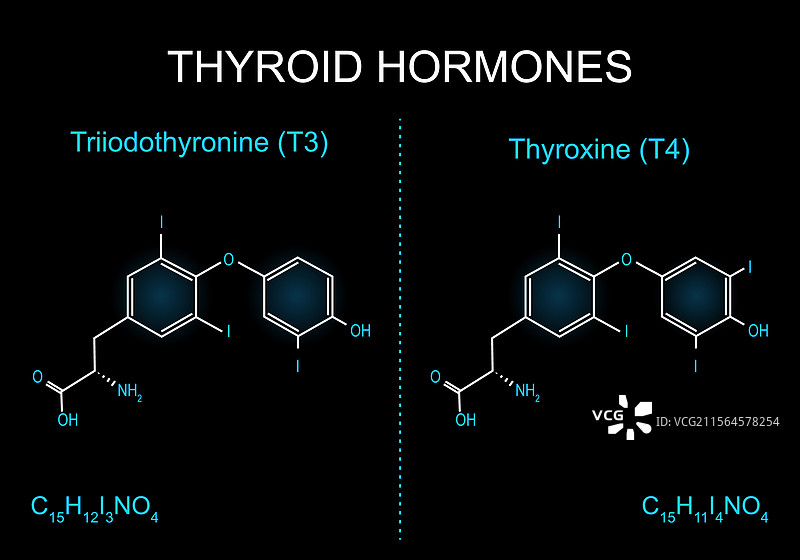 三碘甲状腺原氨酸 T3 分子的骨架化学结构图片素材
