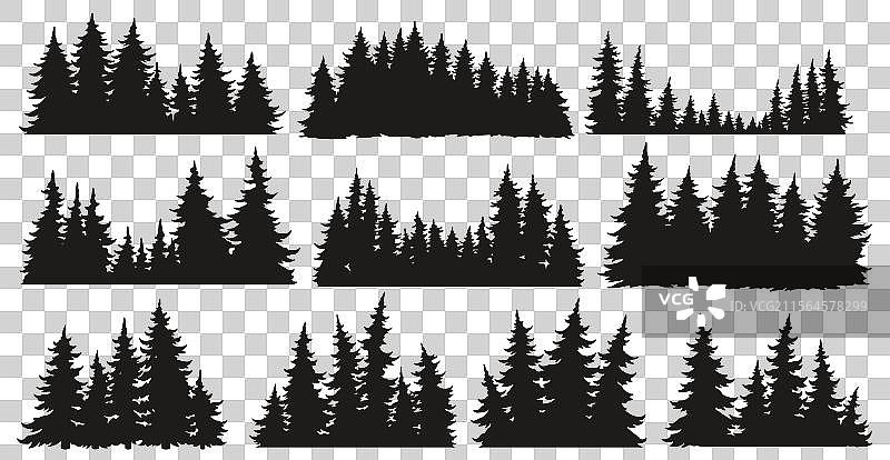 各种松树的轮廓聚集在一起图片素材