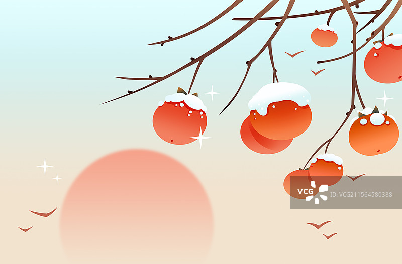 二十四节气立冬之夕阳柿子树上的积雪插画图片素材