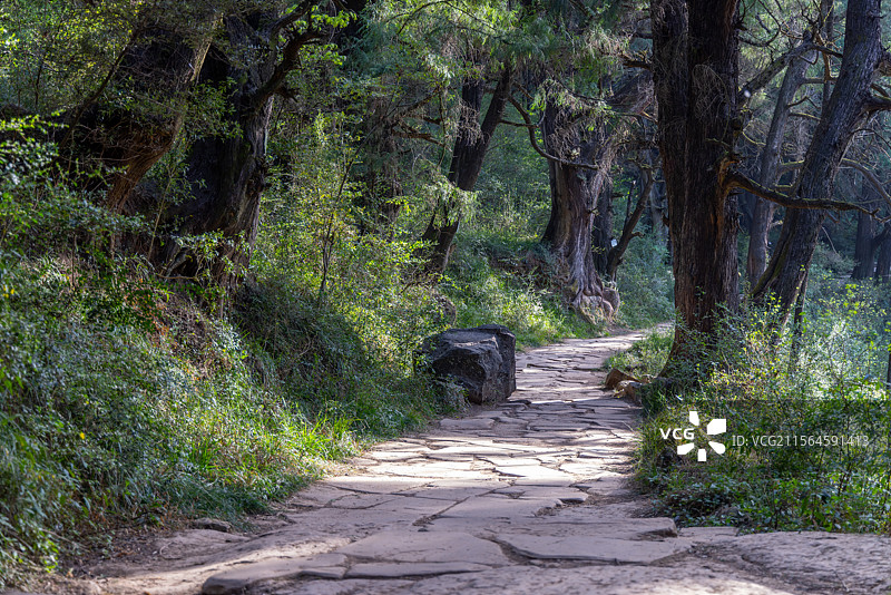 四川广元市剑阁古蜀道（金牛道）拦马墙段古柏石板道路风光图片素材