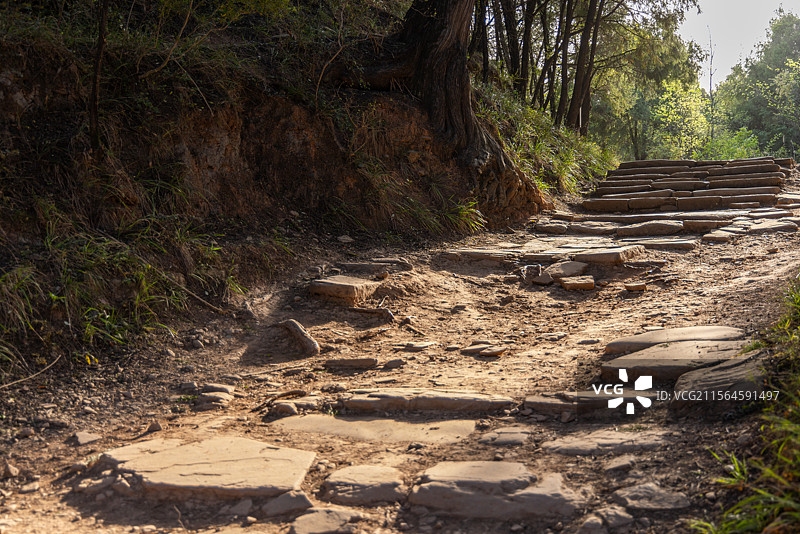 四川广元市剑阁古蜀道（金牛道）拦马墙段古柏石板道路风光图片素材
