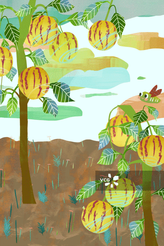 采摘人参果插画背景GIF动图图片素材