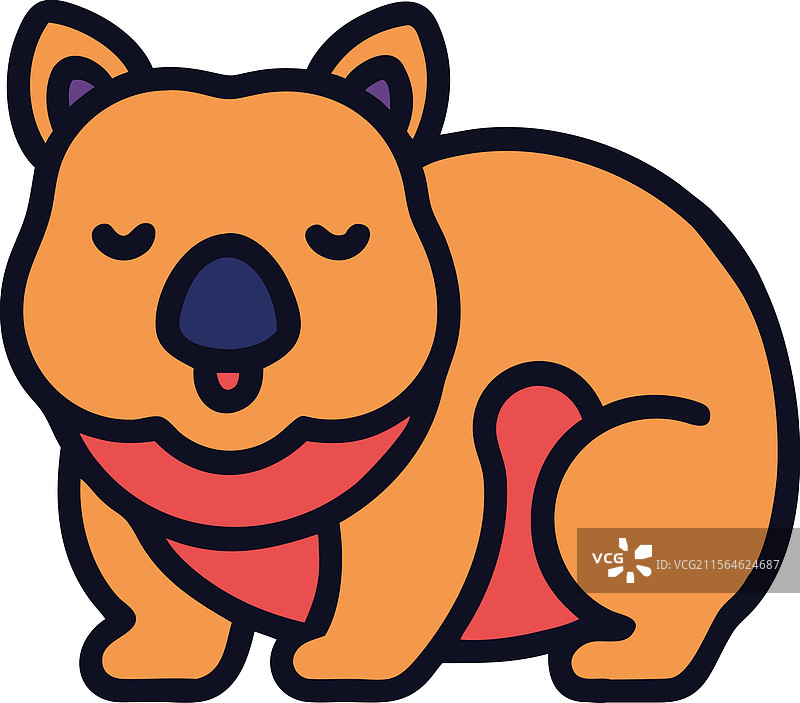 澳大利亚的袋熊野生动物图片素材