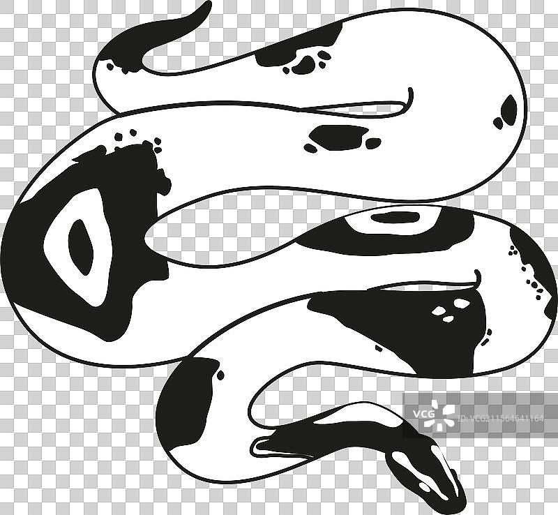 黑白神秘的蟒蛇图片素材