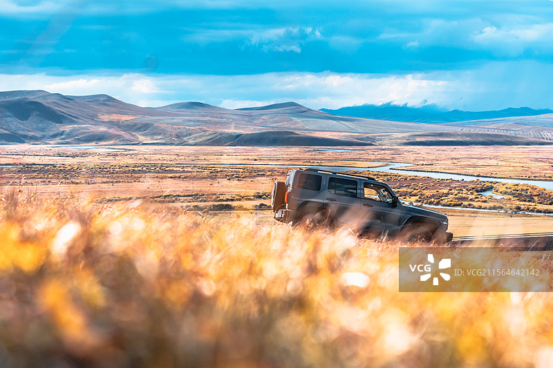 牛羊踏碎的秋光：呼伦贝尔的牧野私语图片素材