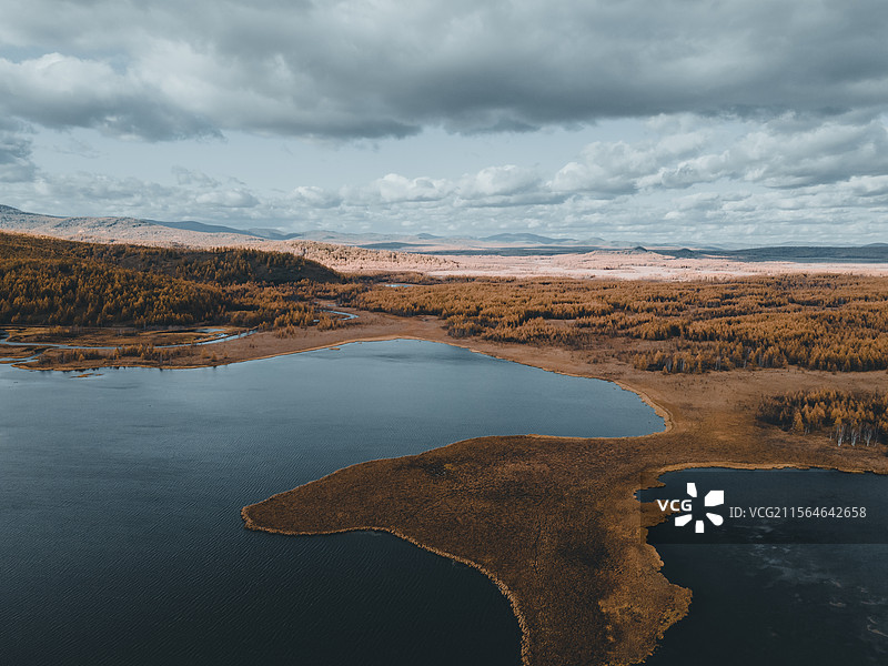 牛羊踏碎的秋光：呼伦贝尔的牧野私语图片素材