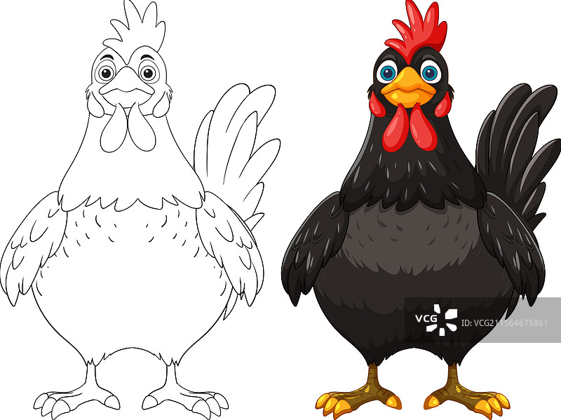 一只色彩鲜艳且轮廓分明的鸡图片素材