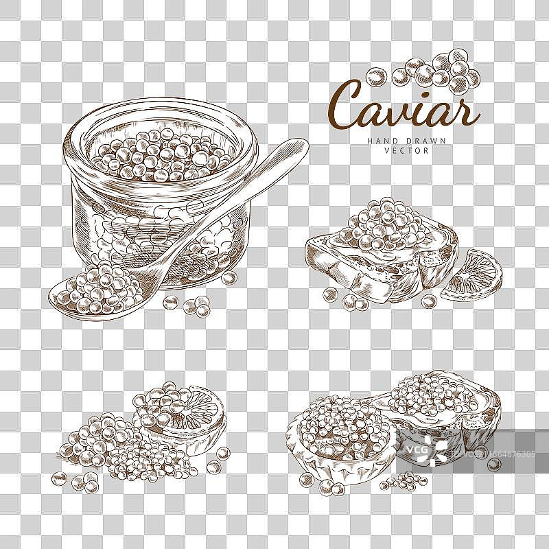 鱼子酱的轮廓素描套装图片素材